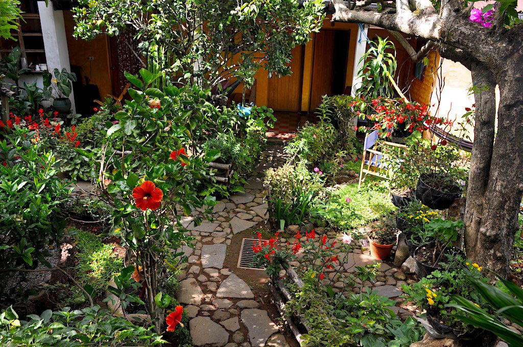 Der Innenhof des Hotel Anáhuac, voll mit Blumen und Pflanzen aller Art, ist eine Oase der Entspannung.