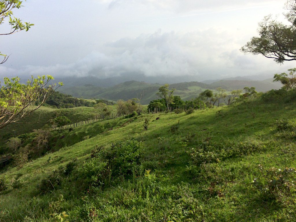 Immer wieder wunderschöne Ausblicke auf die Natur Monteverdes.